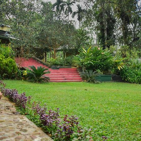 Blue Magpie Lodge Sinharaja Kudawe Eksteriør billede