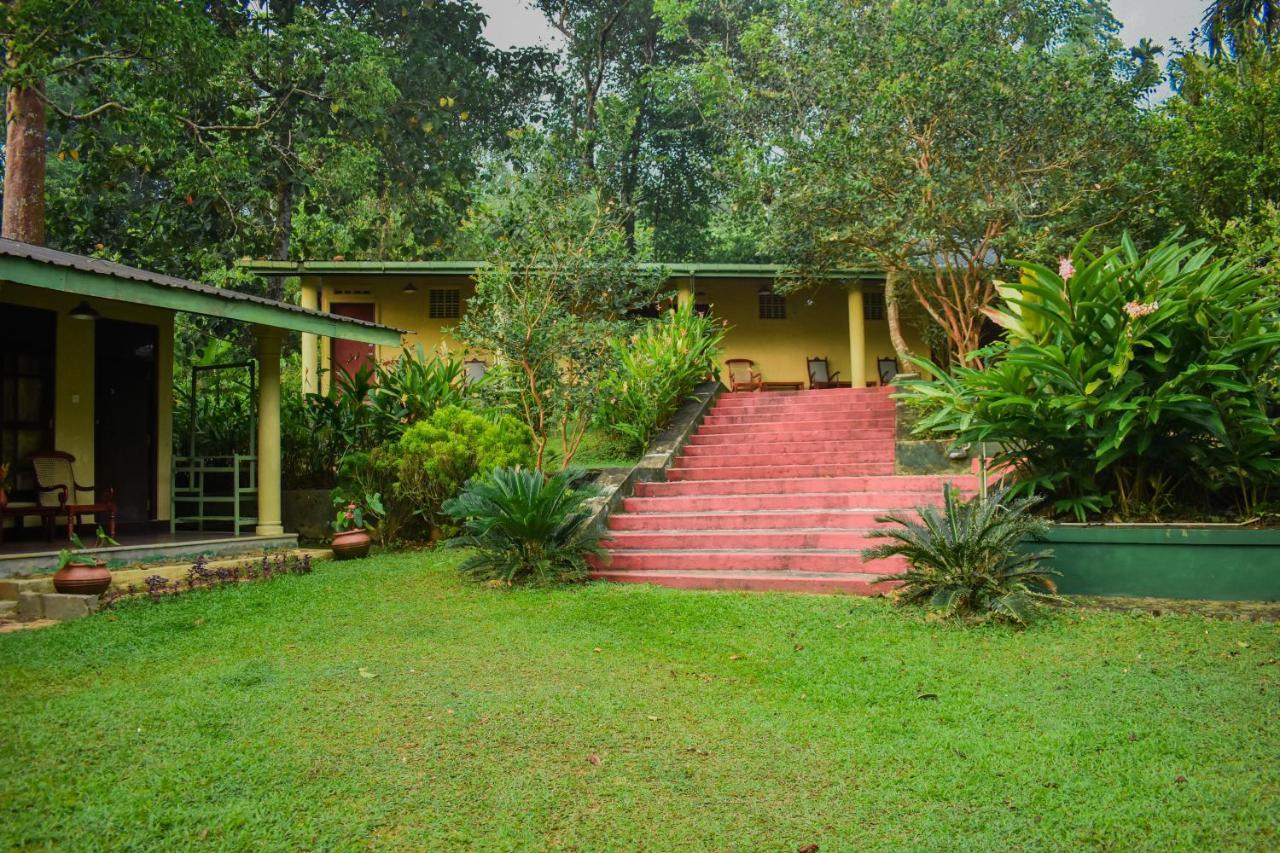 Blue Magpie Lodge Sinharaja Kudawe Eksteriør billede