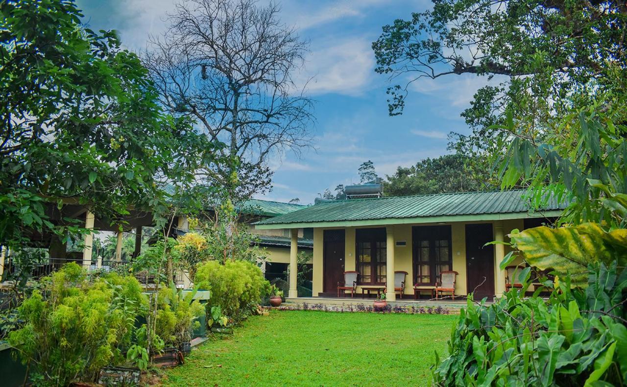 Blue Magpie Lodge Sinharaja Kudawe Eksteriør billede