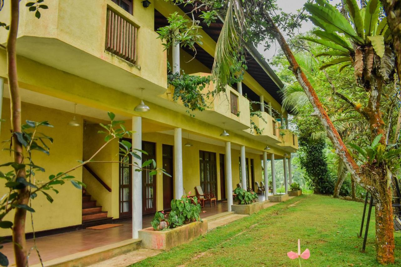 Blue Magpie Lodge Sinharaja Kudawe Eksteriør billede